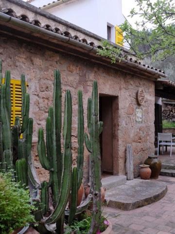 Hostal Catalina Vera Port D'Andratx Exterior foto